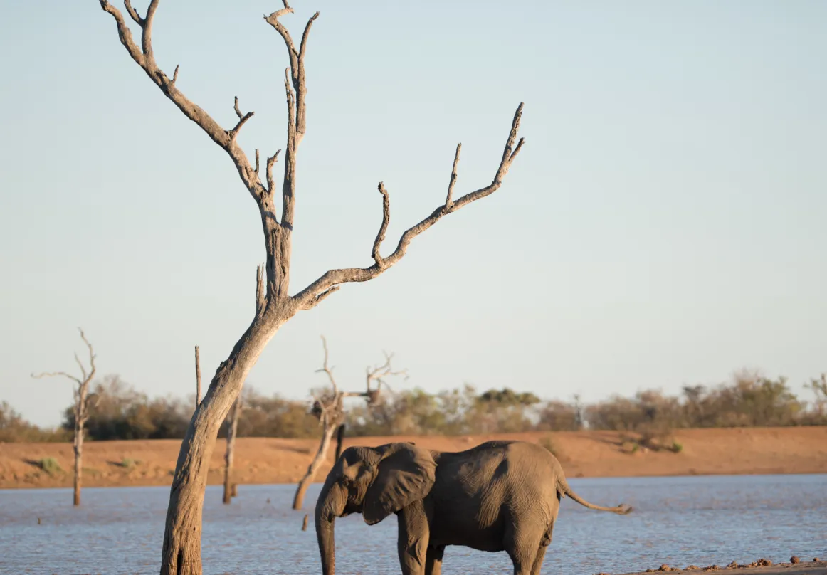 Botswana Activities image