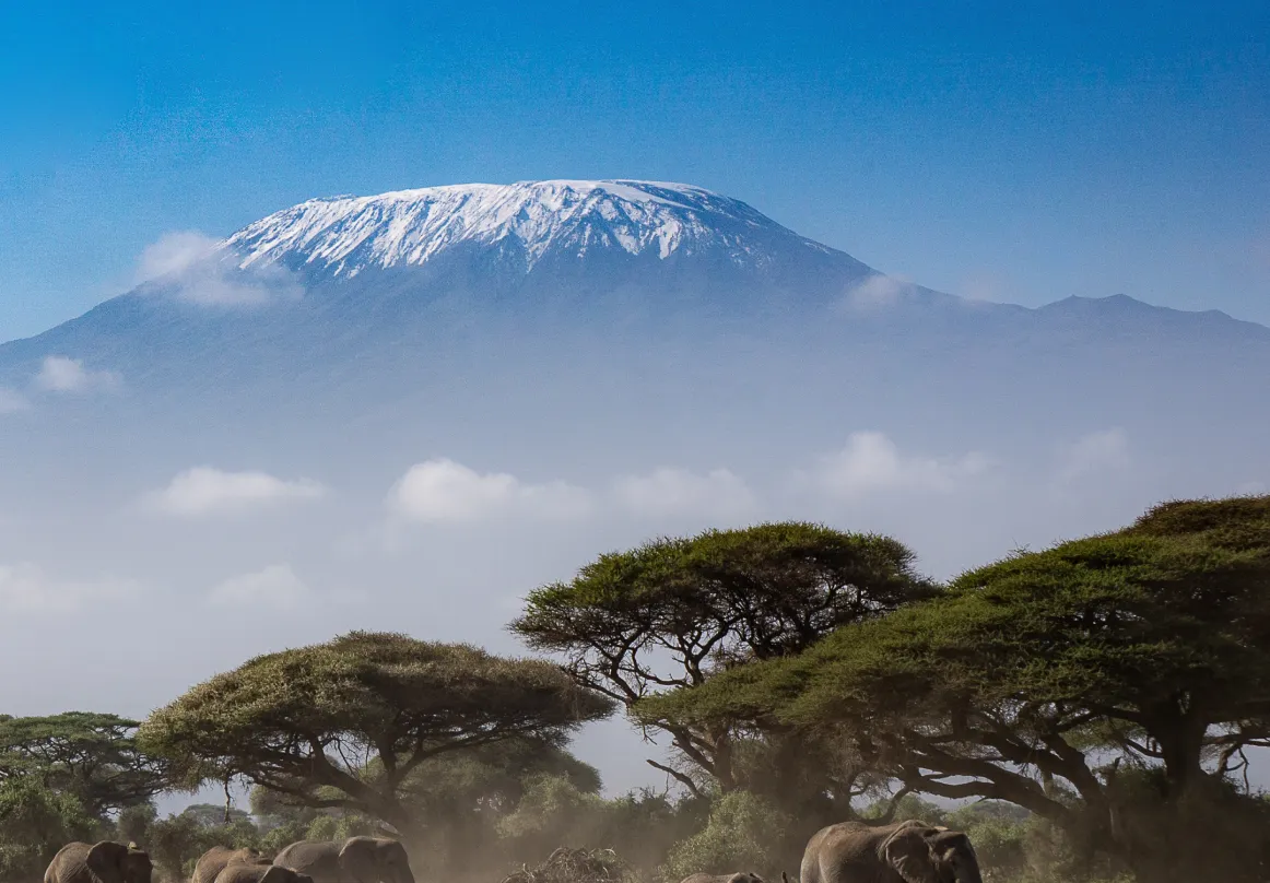 Kenya Activities image