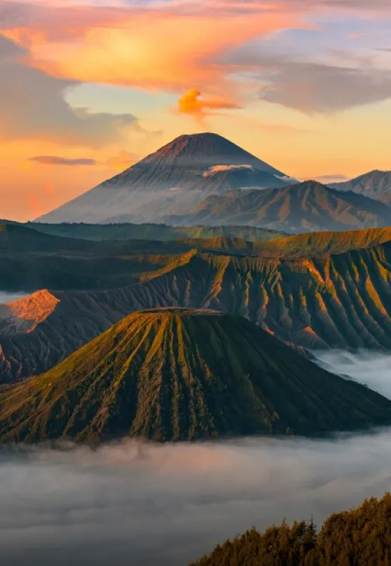 Borneo Card image