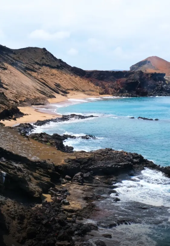 Ecuador and Galapagos Card image